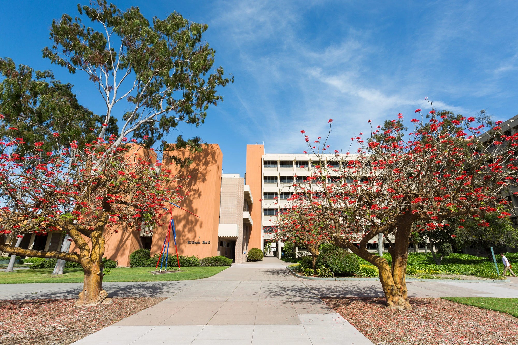 Happy Tassel | UC Santa Barbara Undergraduates and Post Graduates Student Campus