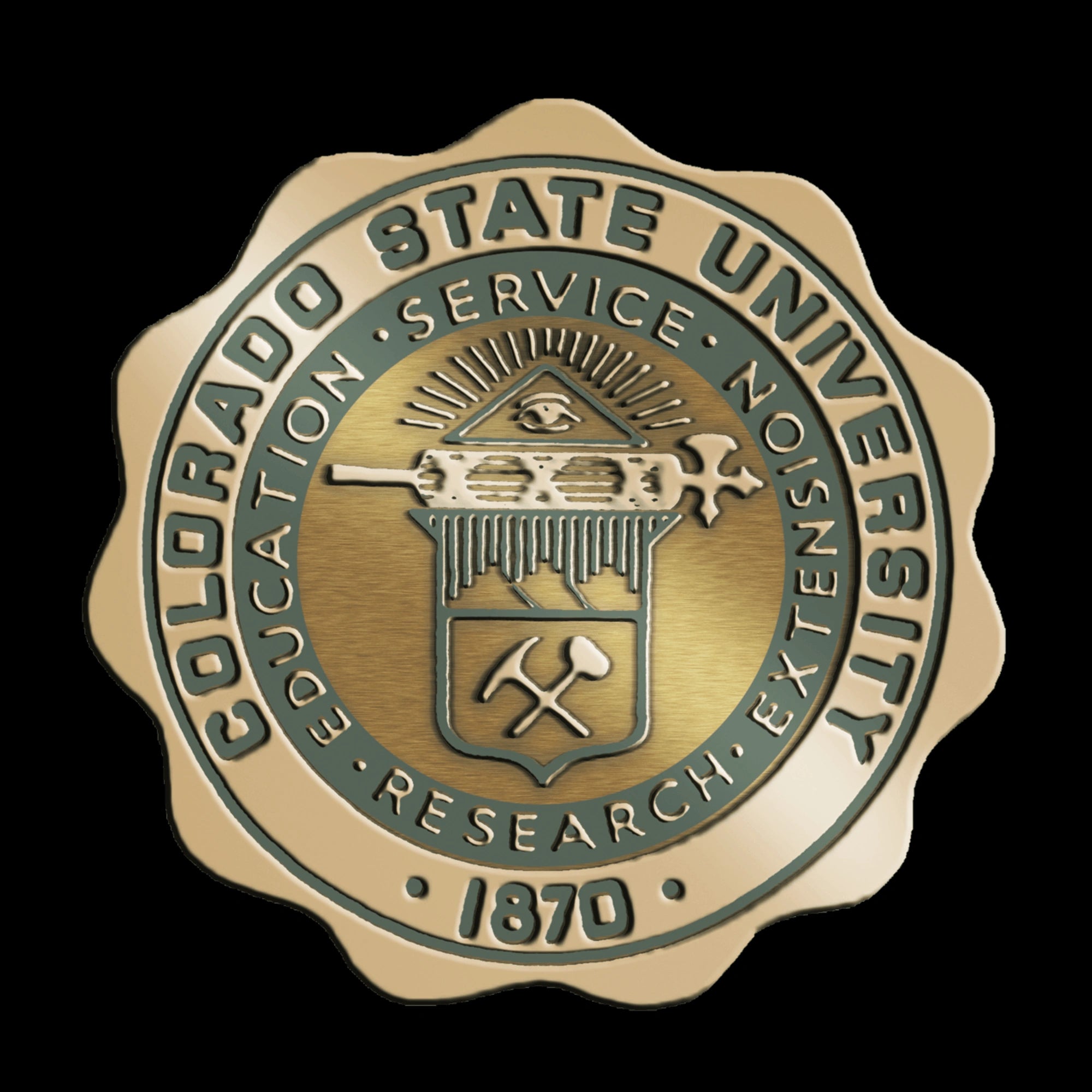 Colorado State University Medallion Diploma Frame